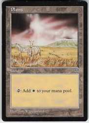 Plains (Zebra) Mirage #333