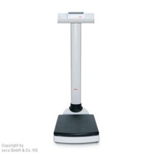 Seca 704 Säulenwaage Medizinprodukt 300kg Tragkraft BMI EMR-Fähig Gusseisen
