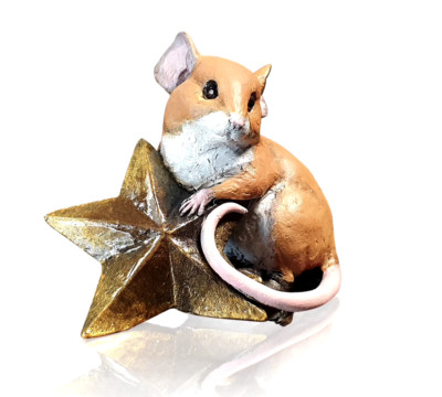 Richard Cooper Studio Maus mit Stern