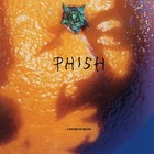 Picture of Nectar by Phish (Record, 2014)