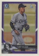2018 Bowman Draft Chrome Purple Refractor 248/250 Lency Delgado #BDC-37 0x1
