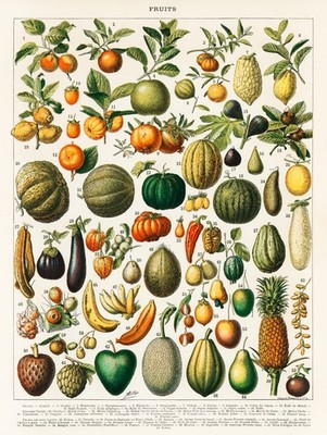 Thanksgiving Fall Art Cover Vintage Poster Print