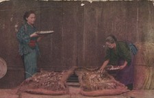 Japanese Silk Placing Corticelli Silkworms Ready To Spin Advertising Postcard