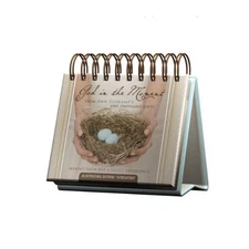 ANN VOSKAMP DAYBRIGHTENER PERPETUAL CALENDAR *Excellent Condition*