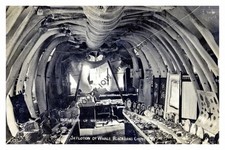 rp13752 - Blackgang Chine Whale , Isle of Wight - print 6x4