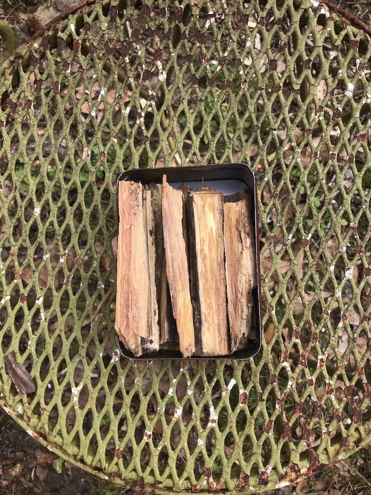 Sticks Firewood Kindling Camp Fuel