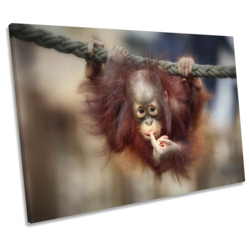 Die große Abfrage Orang-Utang-Affe Frage LEINWANDKUNST Druckbild - Bild 1 von 1