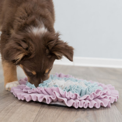 TRIXIE Junior Schnüffelteppich Schnüffelspaß verhindert das Schlingen 38 cm
