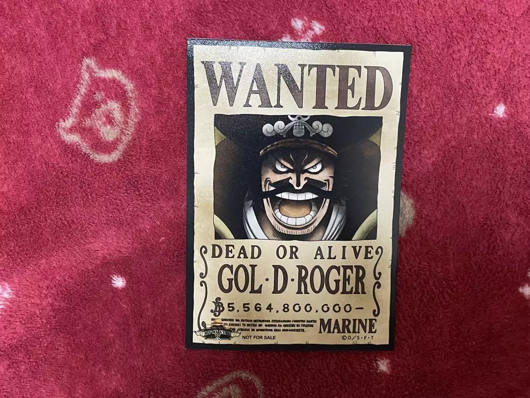 Gol D. Roger Wanted Poster - One Piece™ – Anime Figure Store®