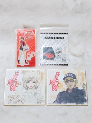 Cells At Work!   4-Piece Set