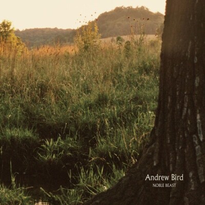 Noble Beast by Bird, Andrew (Record, 2009)