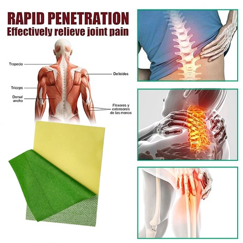 8x Scorpion Venom Pain Relief Patch Muscle Pain Joints Arthritis Medical Plaster - Bild 10 von 11