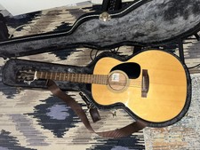 Takamine G220 G-series Acoustic Guitar & Tkl Premier Hardshell Case
