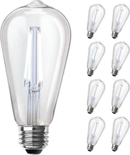 ST19 Vintage Edison LED Light Bulb, 60W Equivalent, Dimmable, 5000K Daylight, 80