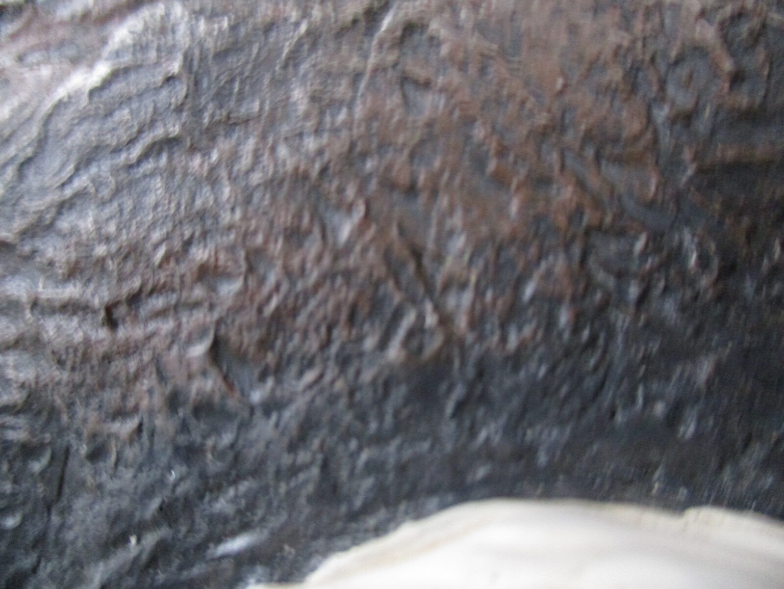 Bild 7 von 12