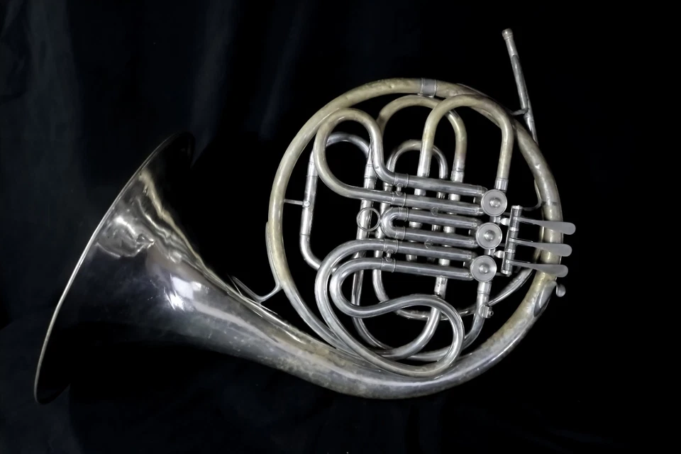 Cuerno francés único Conn 14D en F - usado, acabado dañado, estuche rígido incluido Foto 3 de 4