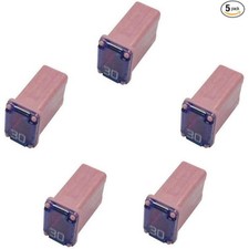 5 Pack 30 Amp Micro Cartridge Fuses Slow Blow Type Female 30 Amp fuse