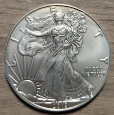 2019 Americsn Eagle 1 oz Silver Coin Fine Silver Walking Liberty On Front