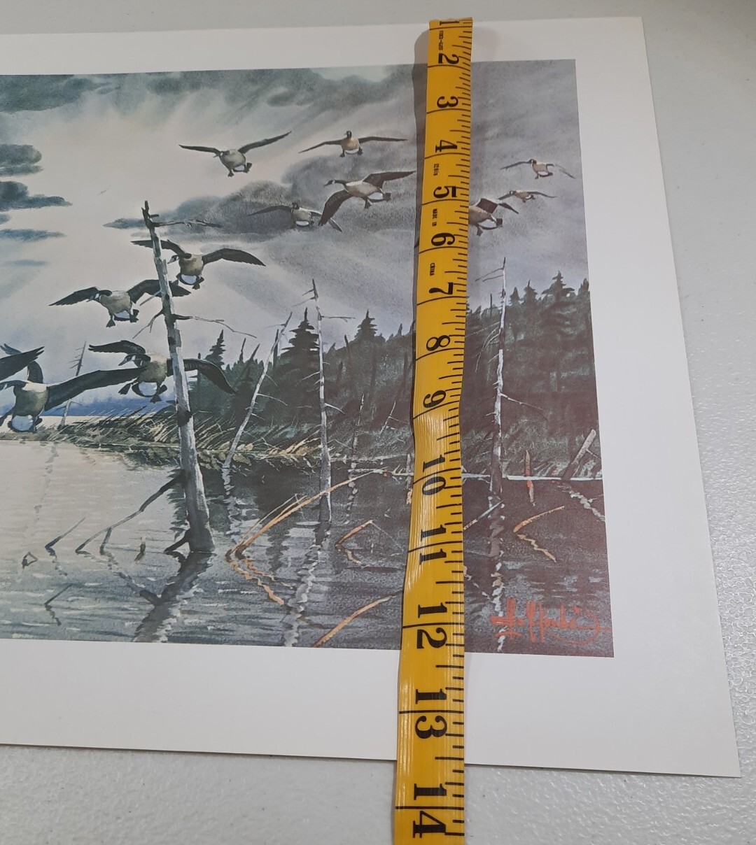 Picture 8 of 9