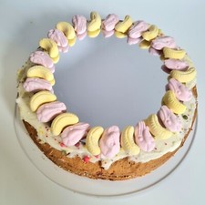 Selfie Cake Mirror - Many Size Optionen (Bespoke sizes and shapes made)