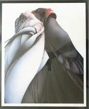 MARCI MCDONALD Phoenix Series 14 Signed Limited Edition Print