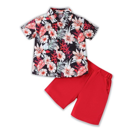 Toddler Boy Clothes Kids Summer Hawaiian Shirts Down Button + Shorts 2 Pcs Ou...