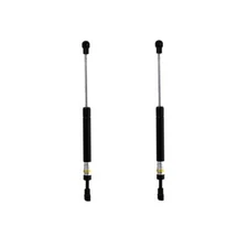 Lesjofors Trunk Lid Lift Support - Rear Driver and Passenger Side