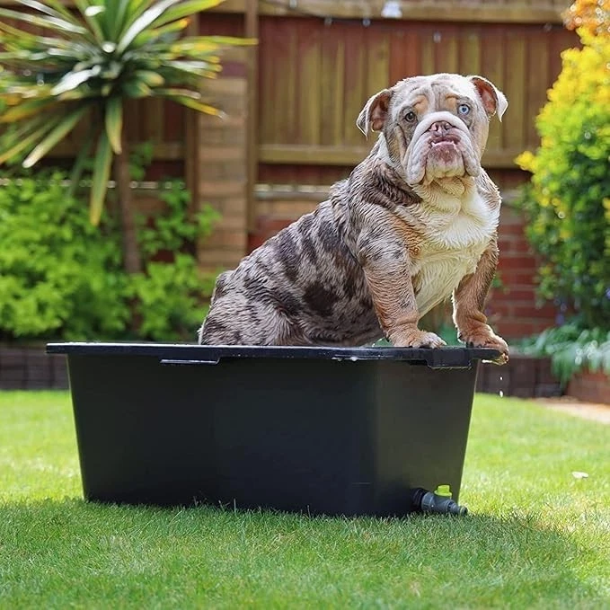 Bathtub With Drain Valve for Dogs and Cats, Pet Paddling Pool with a Tap
Opens in a new window or ta