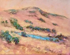 Trujillo Art -not Jose ) western hills dry grass California sunset impressionist