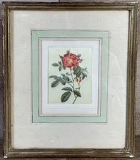 1930’s French Silk Botanical Print Roses And Hips Framed 