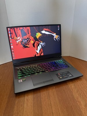 MSI GP75 Leopard 10SFK 17.3 Inch Gaming Laptop Intel I7 UPGRADED 32GB RTX 2070