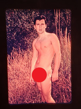 HOT Vintage 35mm Photo Slide, Male Nude Photography, Gay Interest Naked Beefcake
