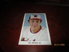 Rare 1981 Cal Ripken Baltimore Orioles Baseball Rookie Postcard Great shape!