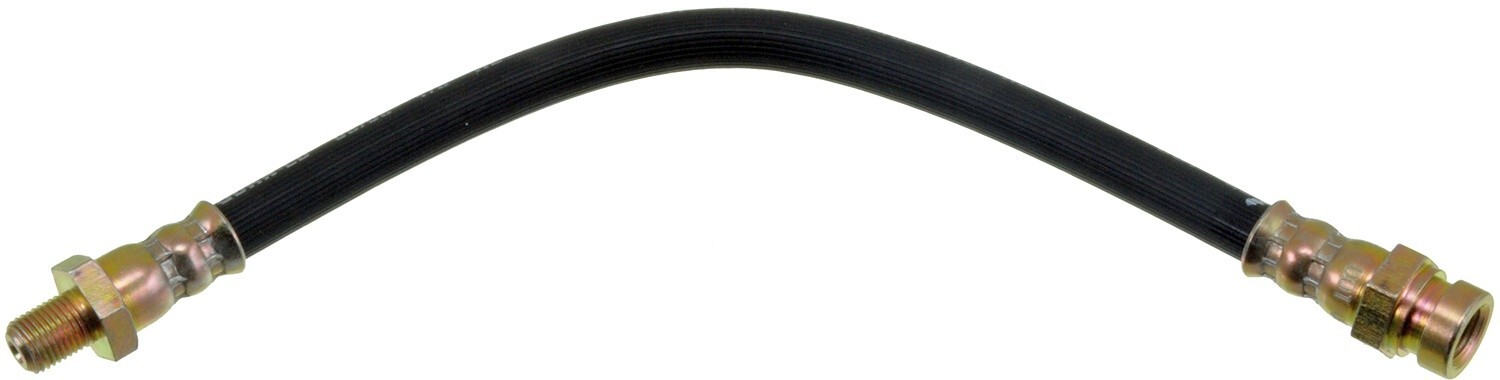 Picture 1