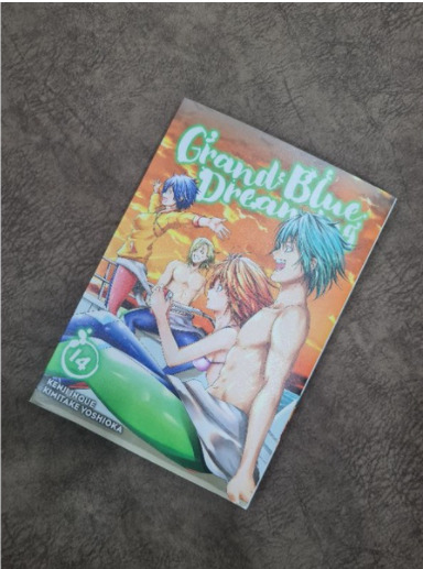 Grand Blue Dreaming Manga Volume 15