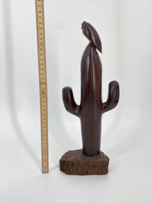 kirschlorbeer mulchen Kirschlorbeer kaufen