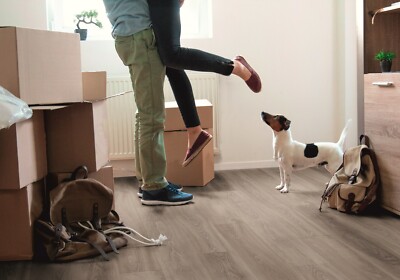 100 m² Klick Vinylboden Damon |NS 0,3 mm| Fußboden Click Vinyl Holzboden Laminat
