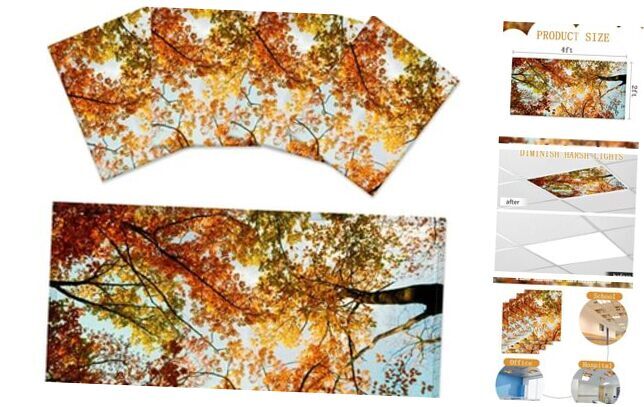 4 Pack Fluorescent Light Covers for Ceiling Lights Classroom Office Magnetic