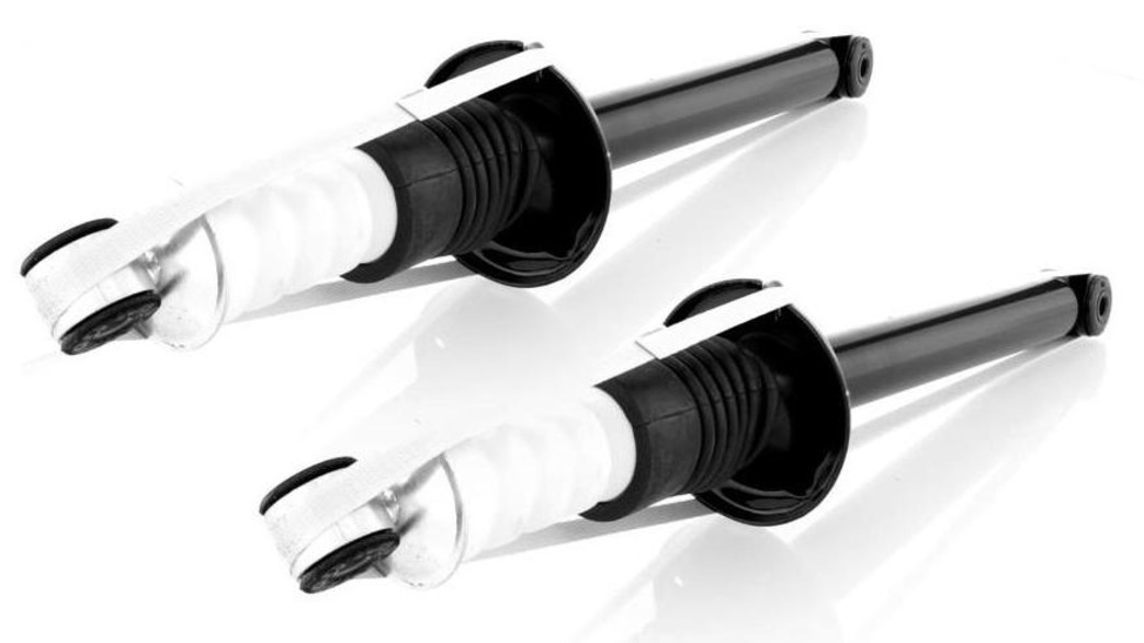 2x Gas Shock Absorber Rear Right=Left GH-332560