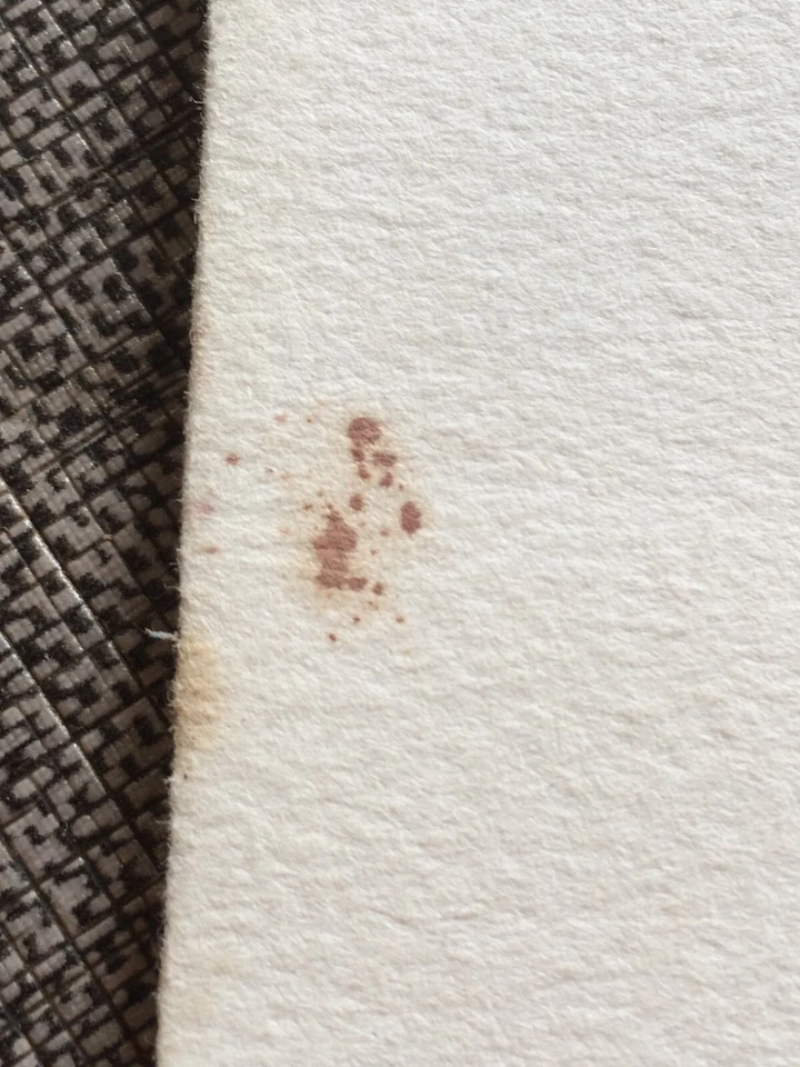 Fernando BOTERO  "les danseurs" RARE  offset  LITHOGRAPHIE COULEURS  Tirage 1985 - Photo 4/4