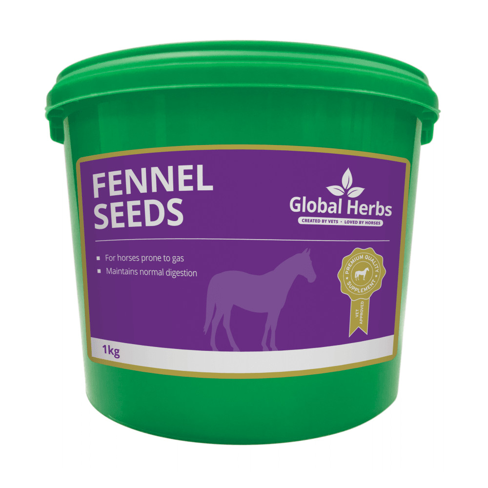 Global Herbs - Fennel 1kg