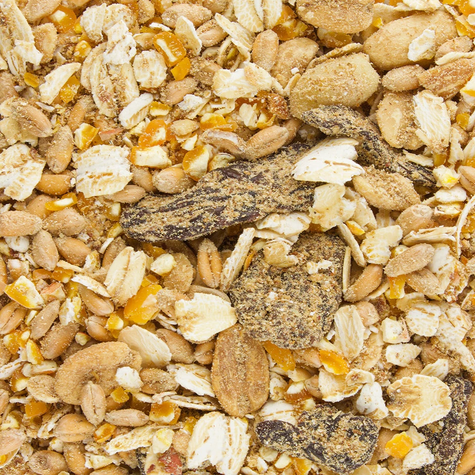 25 kg Fettfutter Vogelfutter Wildvogelfutter Winter & Sommer 25kg TOP - Bild 3 von 4