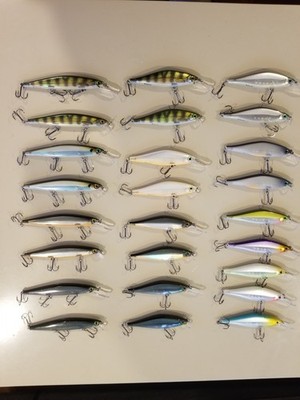 Jerkbait Bundle - Rapala Shadow Rap and Shadow Rap Shad Lures - The Best Colors!