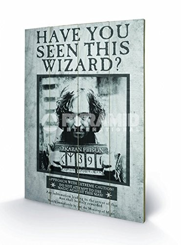 Pyramid International Harry Potter Sirius Wanted Wood Print Multi-Colour 40 x 14490₽