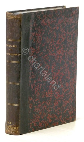 Nothnagel - La diagnosi di sede nelle malattie cerebrali (studio clinico) - 1882 - 第 1/4 張圖片