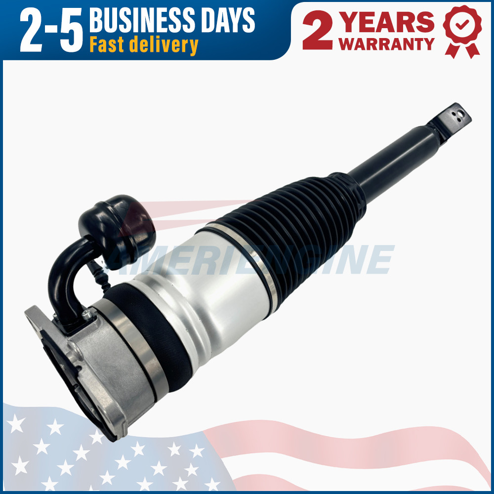 Rear Left Air Suspension Strut Fit Bentley Continental Flying Spur W12 GT 2004-