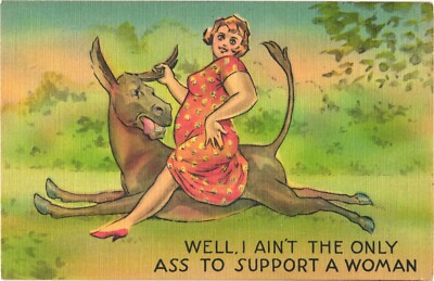 Well, I Ain't The Only Ass To Support A Woman, Sitting On Horse's Back Postcard