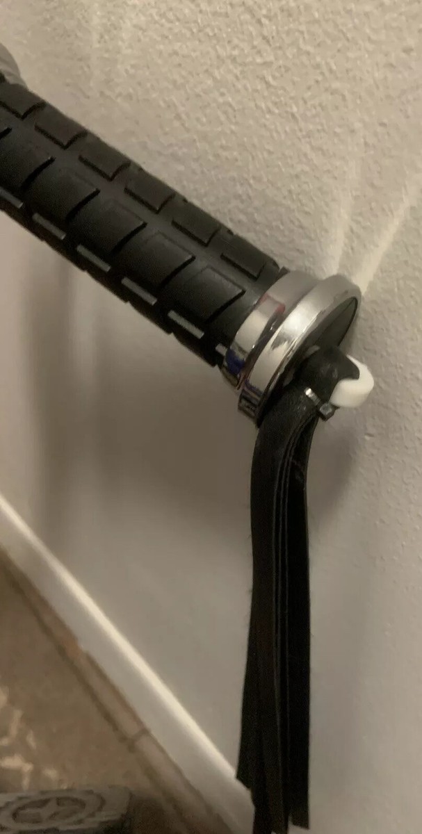 Schwinn Roadster Tricycle Toddler Bike Blue And Chrome Kid Tri