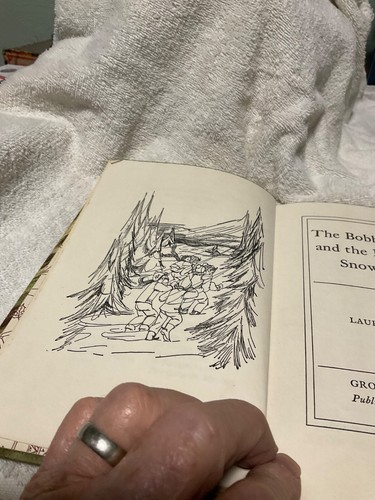Vintage 1960 The Bobbsey Twins and The Mystery at Snow Lodge Book #5 Laura Hope - Picture 6 of 7
