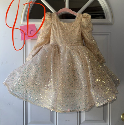 Girls 2T Gold Glitter Tulle Fit & Flare Dress Long Puff Sleeve Bow Zip pageant
